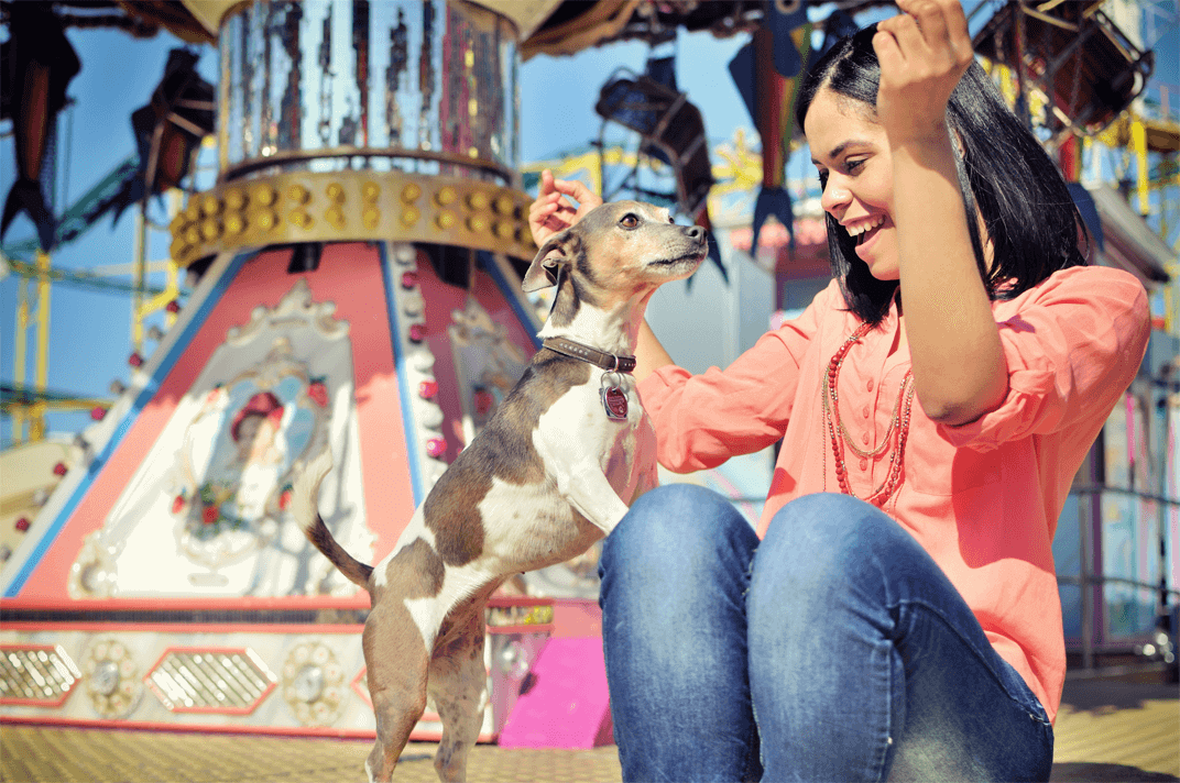 In welke pretparken is je hond toegelaten