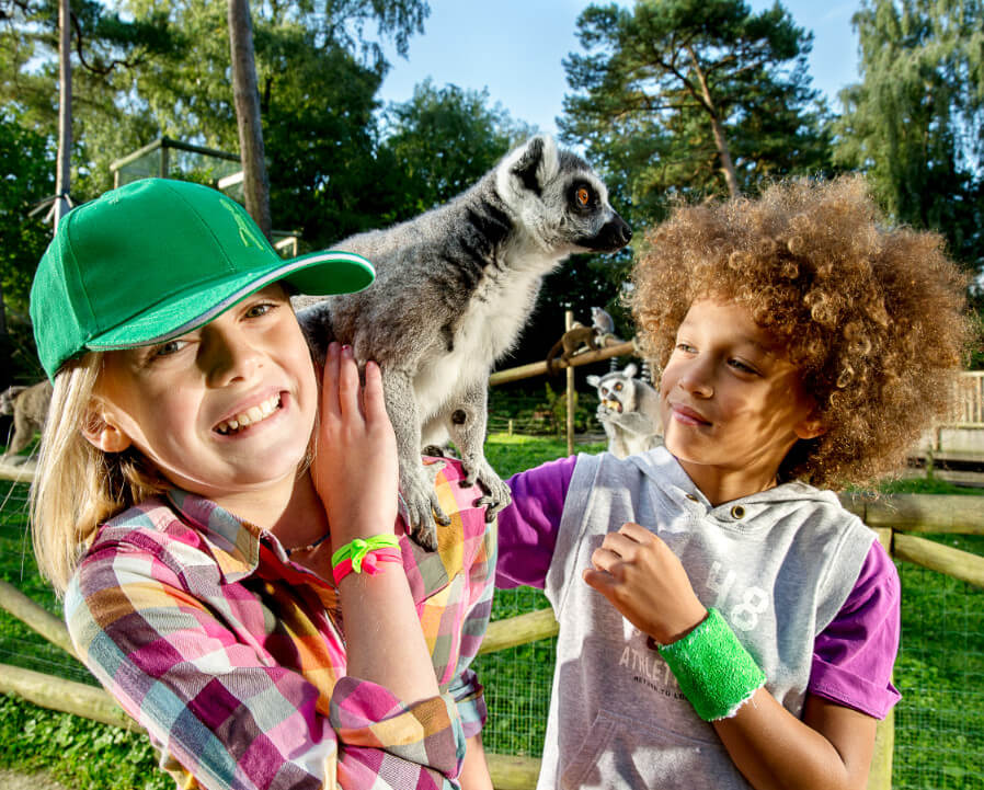 bellewaerde kinderen lemmuren