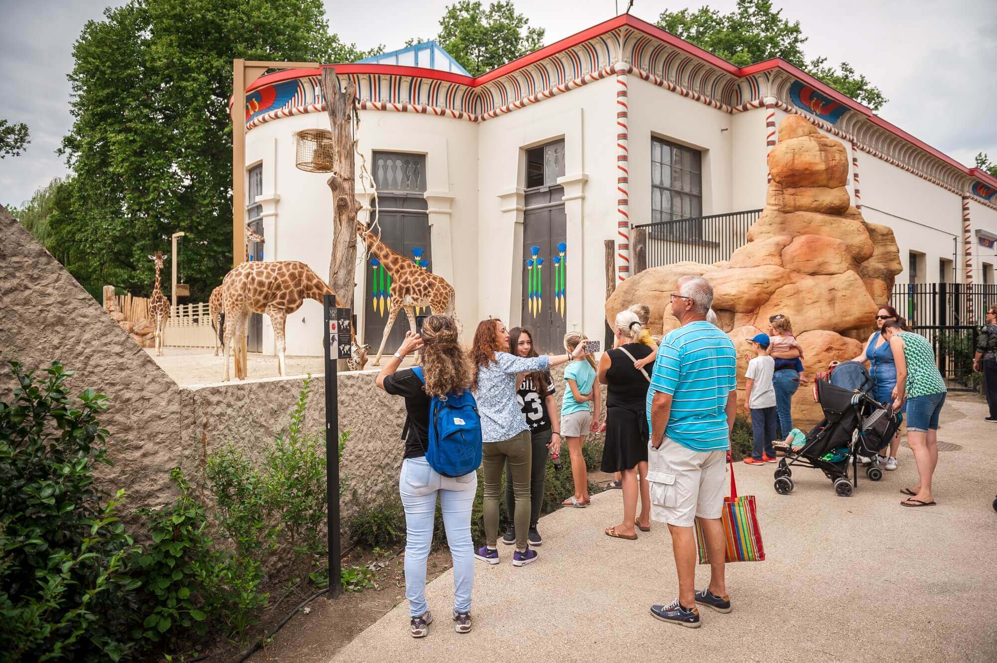 foto Zoo Antwerpen